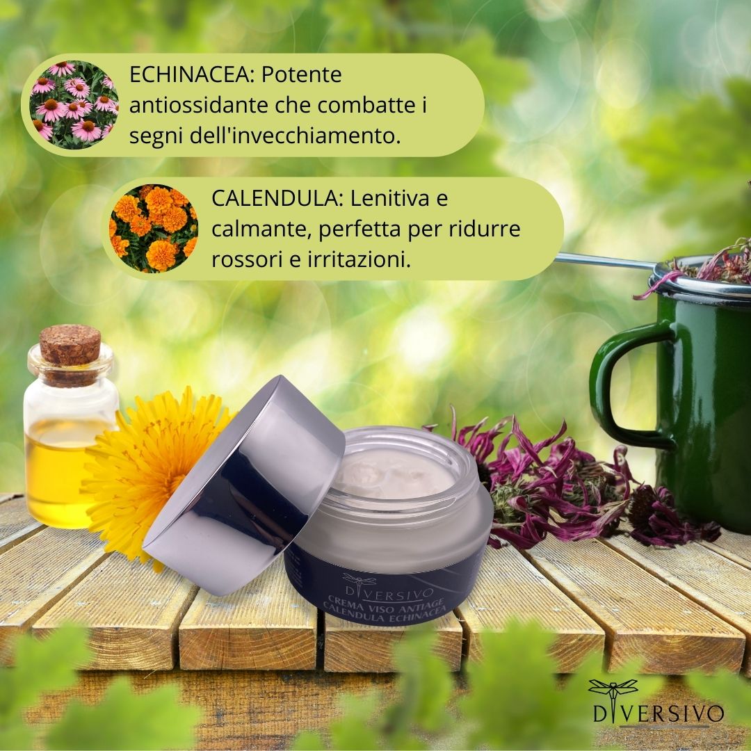 Crema Viso Antirughe Bio con Calendula Echinacea